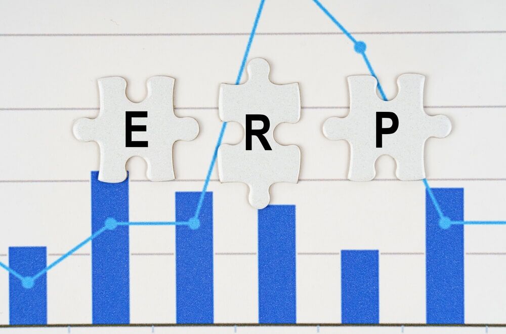 Imagem de um gráfico representando o sistema de ERP.