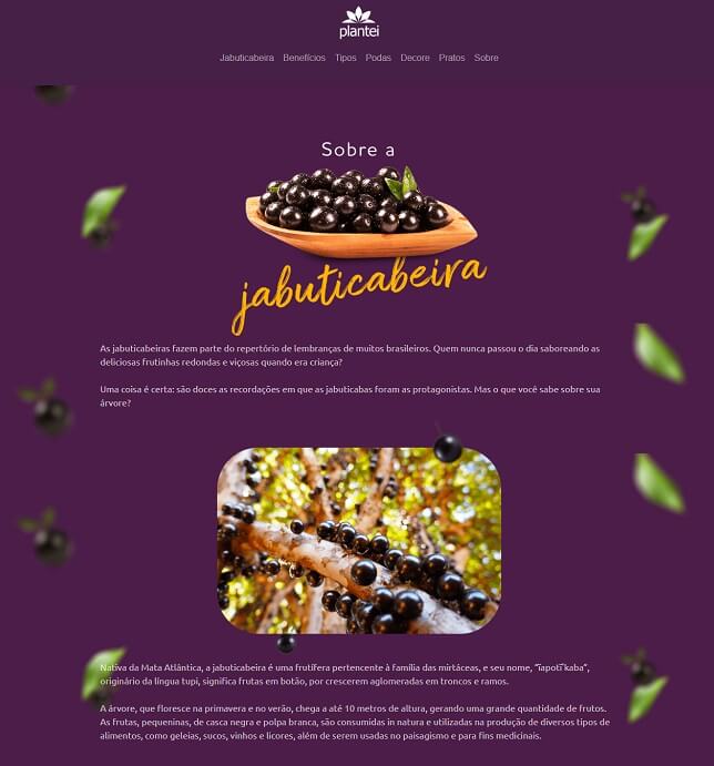 descricao-de-produto